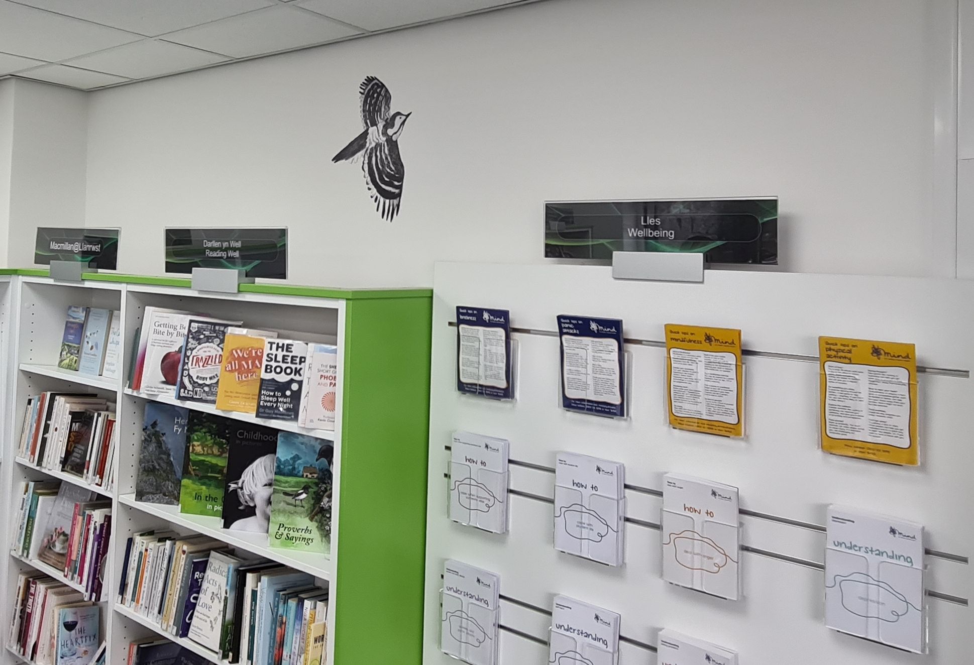 Greater-spotted woodpecker graphic flies above books and leaflets in Wellbeing Hub
